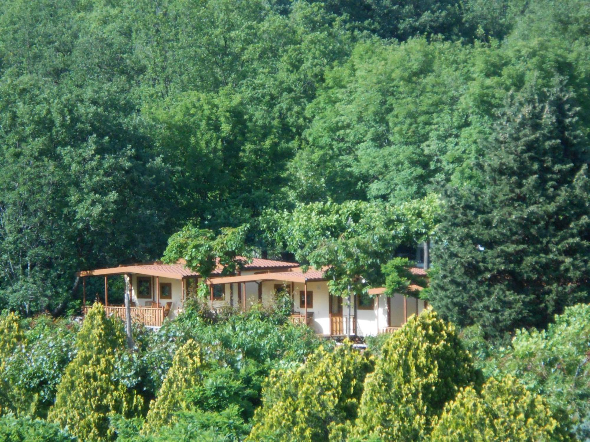 Campeggio Pian Dei Boschi Pietra Ligure Exterior photo